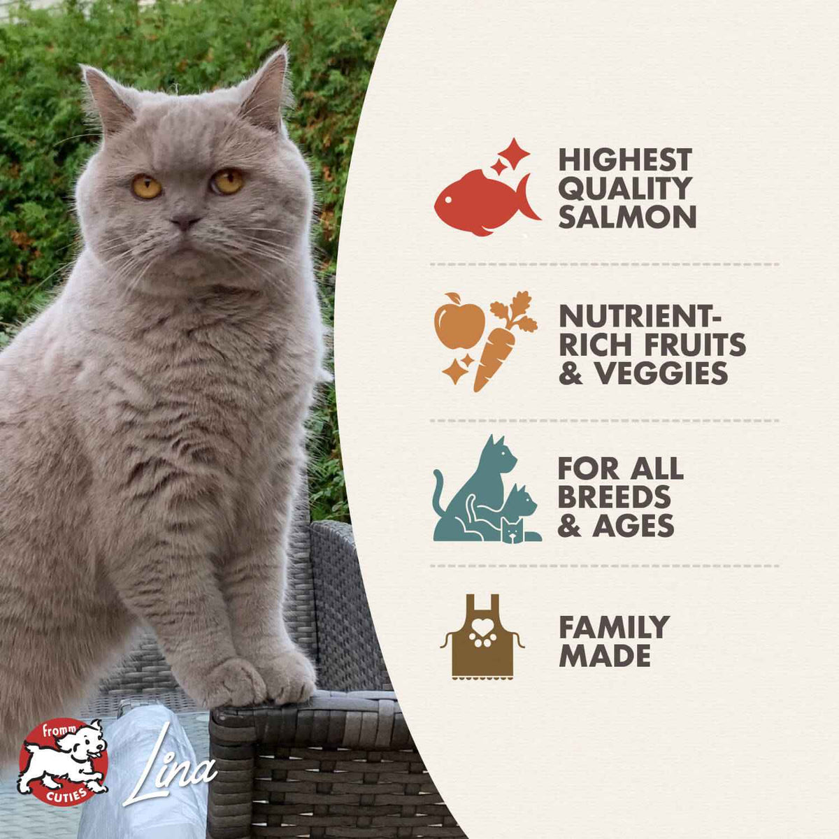 Fromm® Four Star Nutritionals® Salmon À La Veg - Cat Food