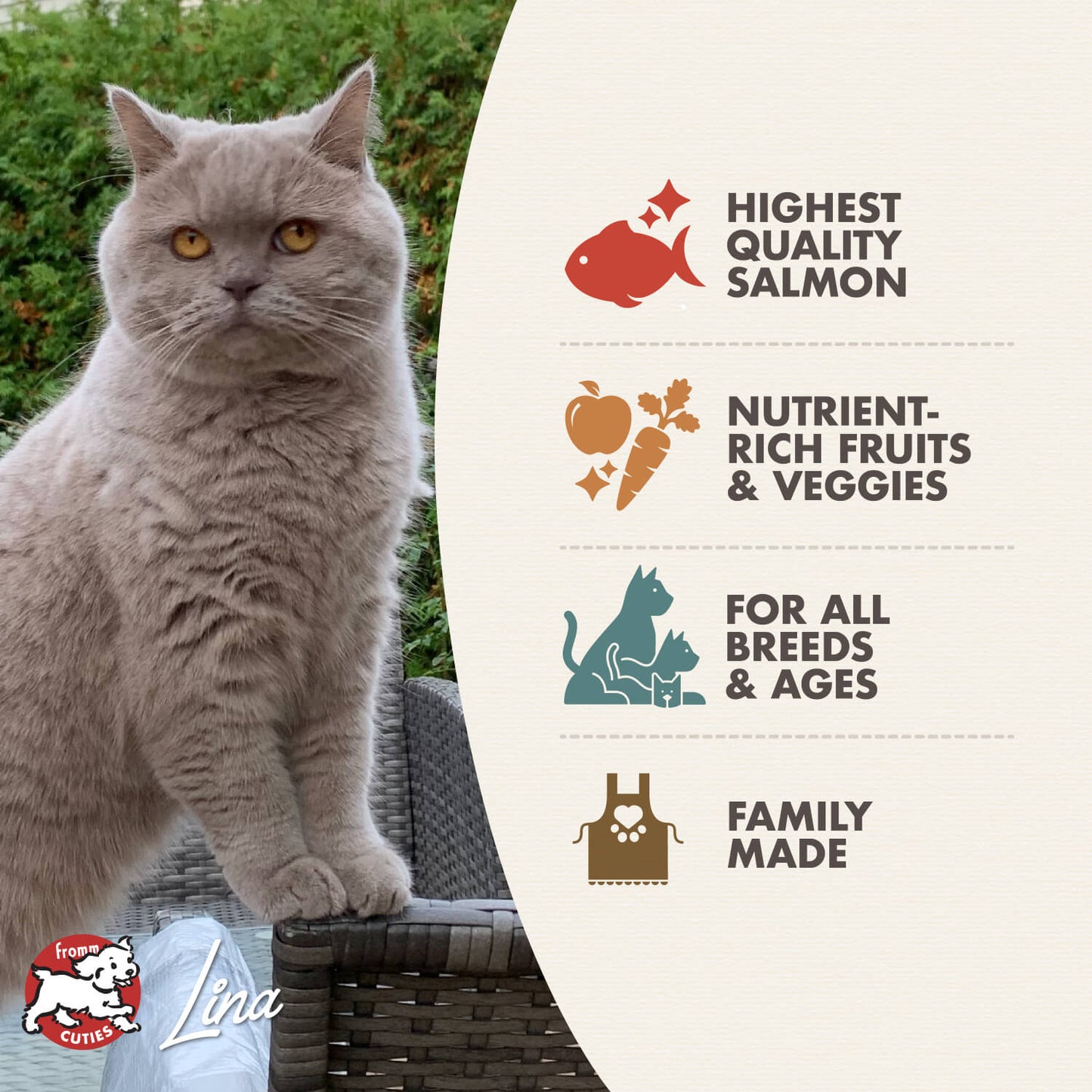 Fromm® Four Star Nutritionals® Salmon À La Veg - Cat Food Harmony Pet Supplies Scarborough