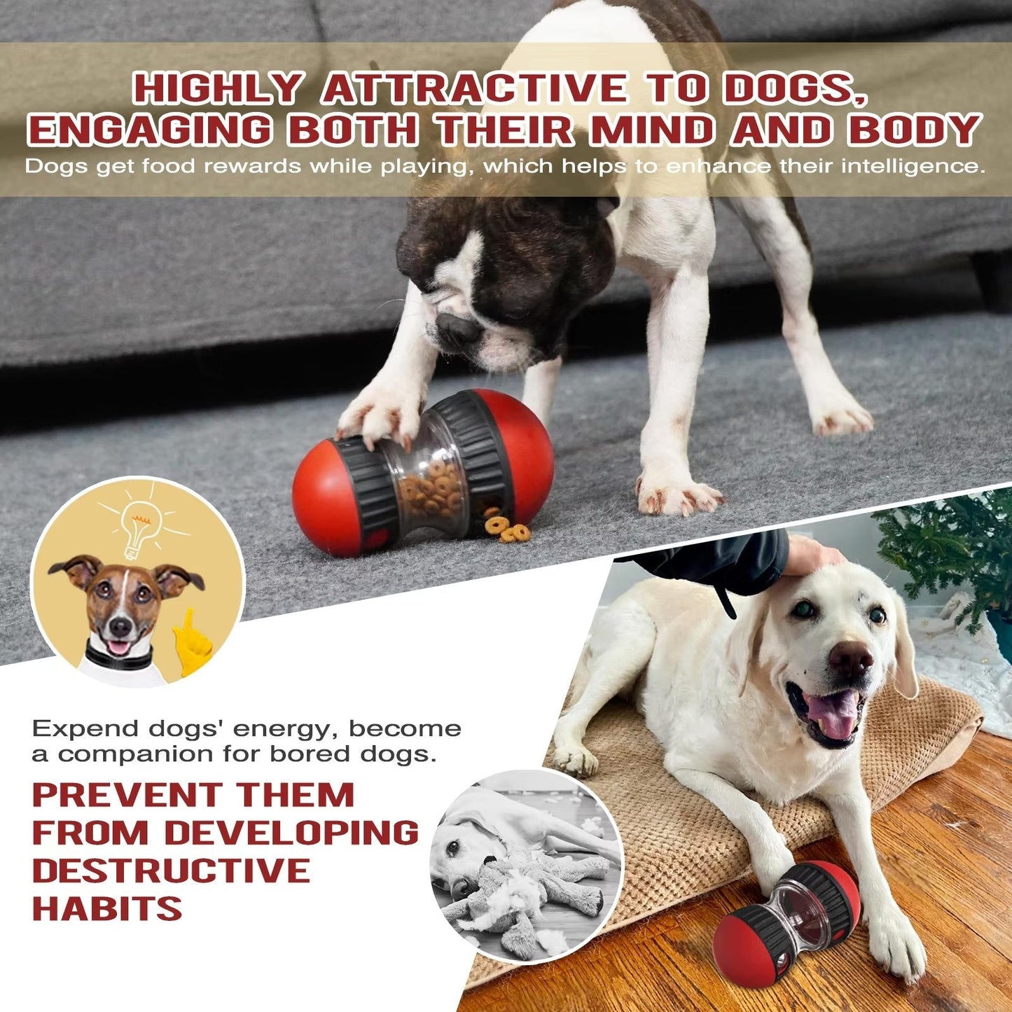 Interactive Slow Feeder Oval Toy – Dog Food Dispenser Harmony Pet Supplies Scarborough