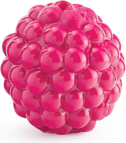 Planet Dog Raspberry