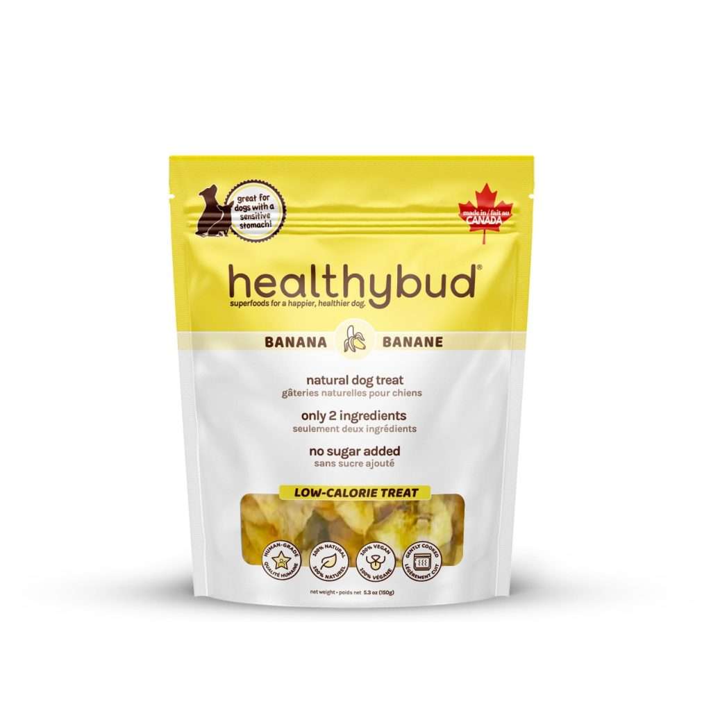 Healthybud - Banana Crisps 150g Harmony Pet Supplies Scarborough