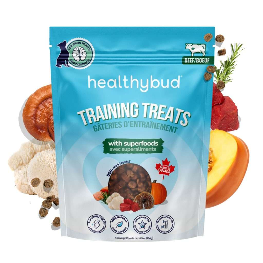 Healthybud - Mini Beef Training Dog Treats Harmony Pet Supplies Scarborough