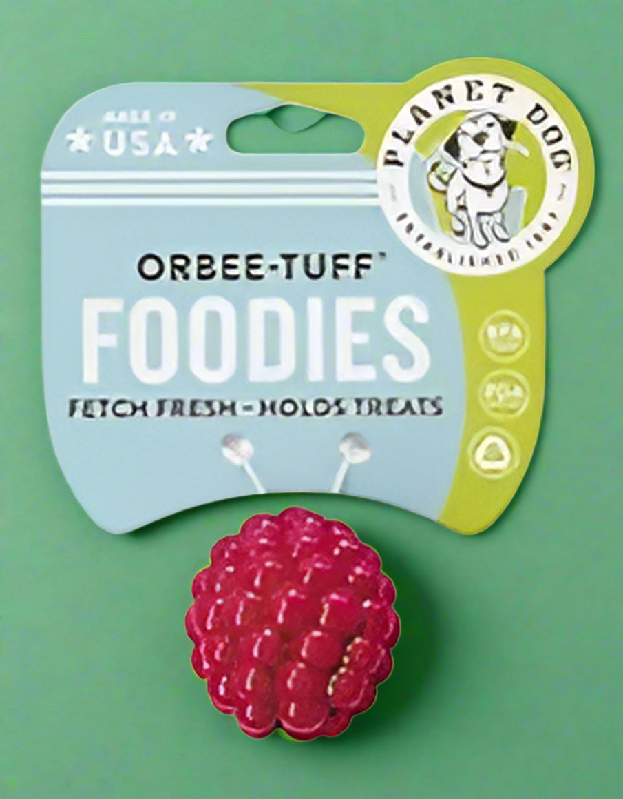 Planet Dog Raspberry Harmony Pet Supplies Scarborough