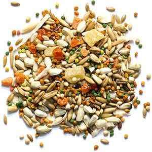 ZuPreem Smart Selects Small Bird Food – Balanced Daily Nutrition