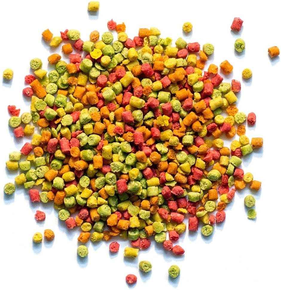 ZuPreem FruitBlend Small Bird Food – Vital Daily Nutrition
