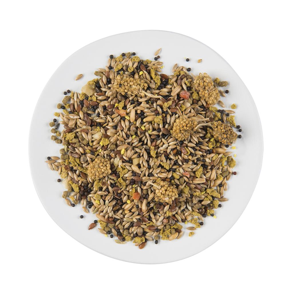 PUUR Canary Harmony Pet Supplies Scarborough