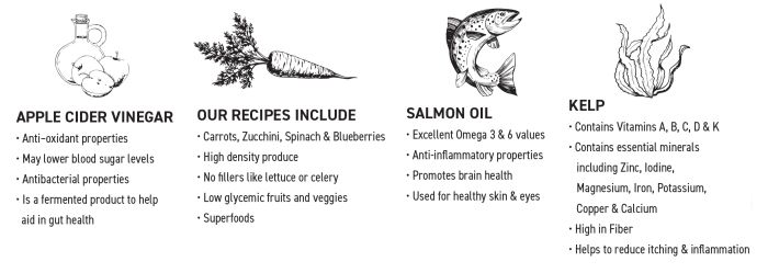 Northshore Raw Duck Recipe Dog