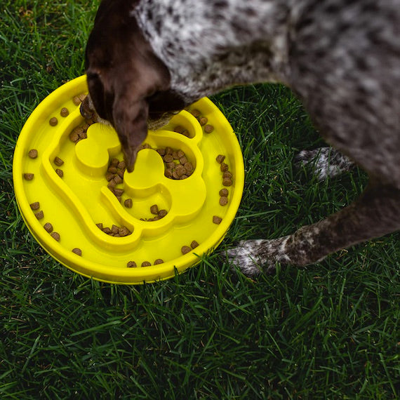 BeOneBreed - Slow Feeder - Dog Harmony Pet Supplies Scarborough