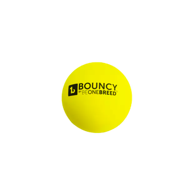 BeOneBreed Bouncy Ball-Dog Toy - Front