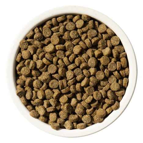 Rawbble® – Salmon Recipe - Cat Food