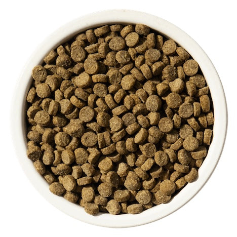 Rawbble® – Salmon Recipe - Cat Food Harmony Pet Supplies Scarborough