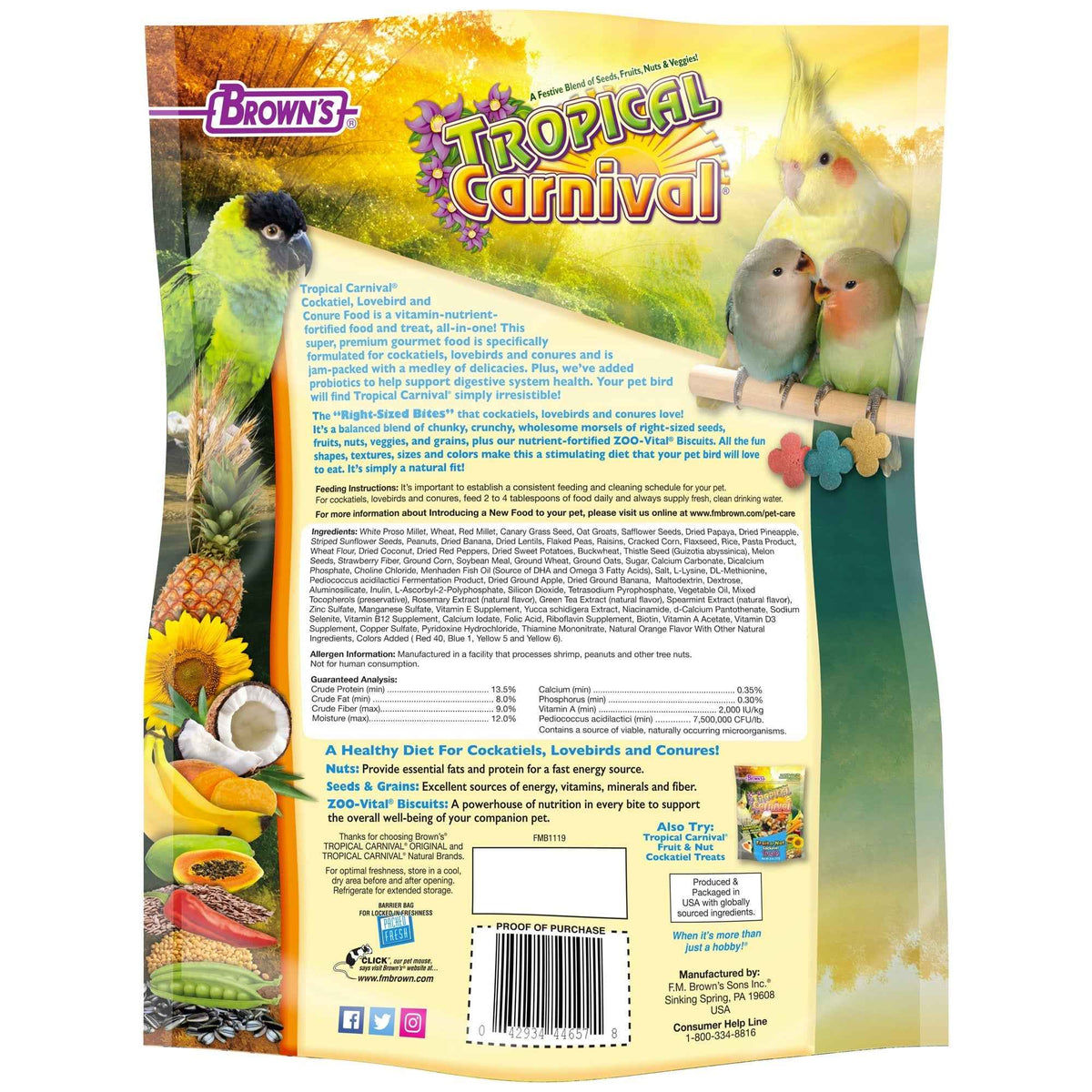 Tropical Carnival Gourmet Food – An Exotic Feast for Medium Birds