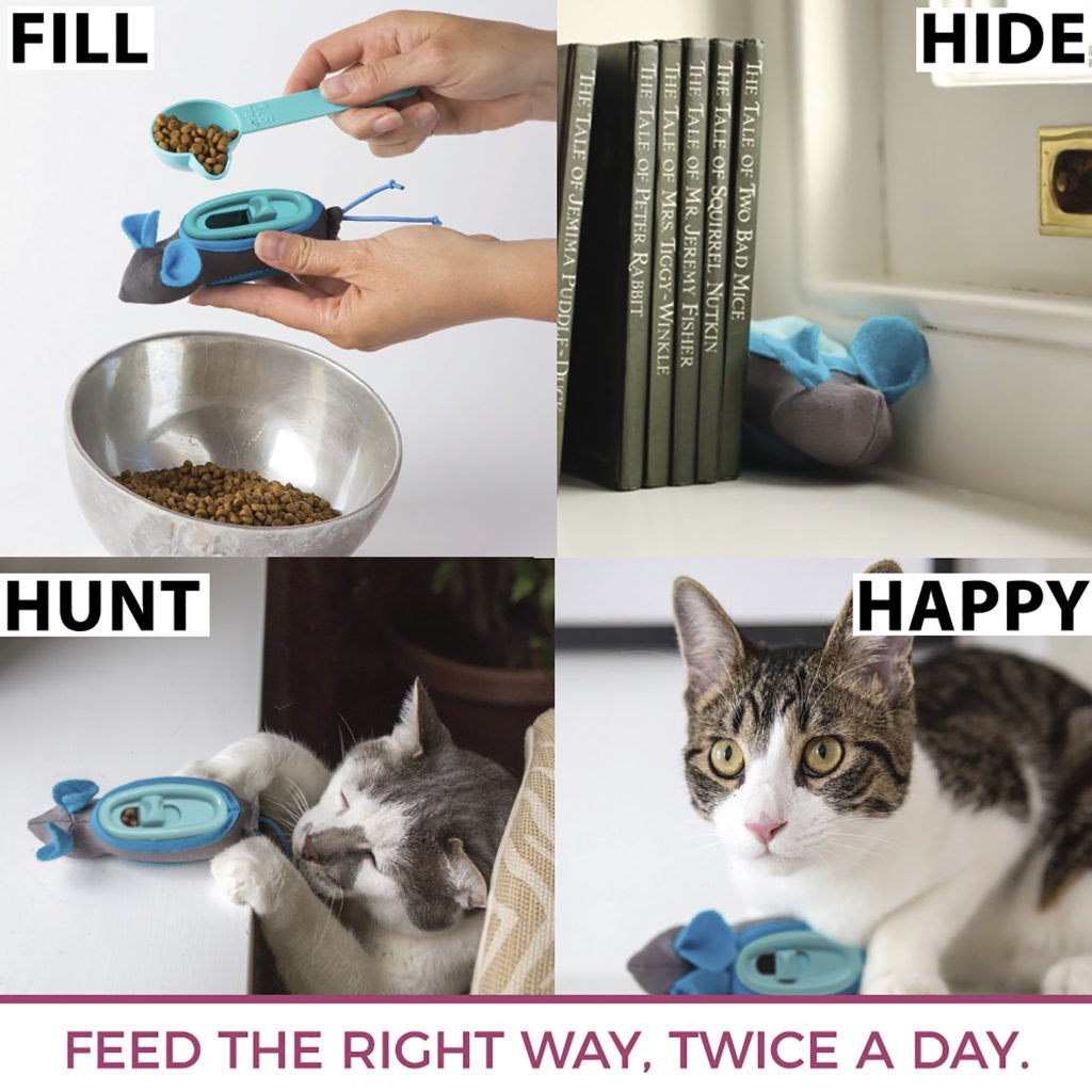 Doc and Phoebe - Indoor Hunting Cat Feeder Harmony Pet Supplies Scarborough