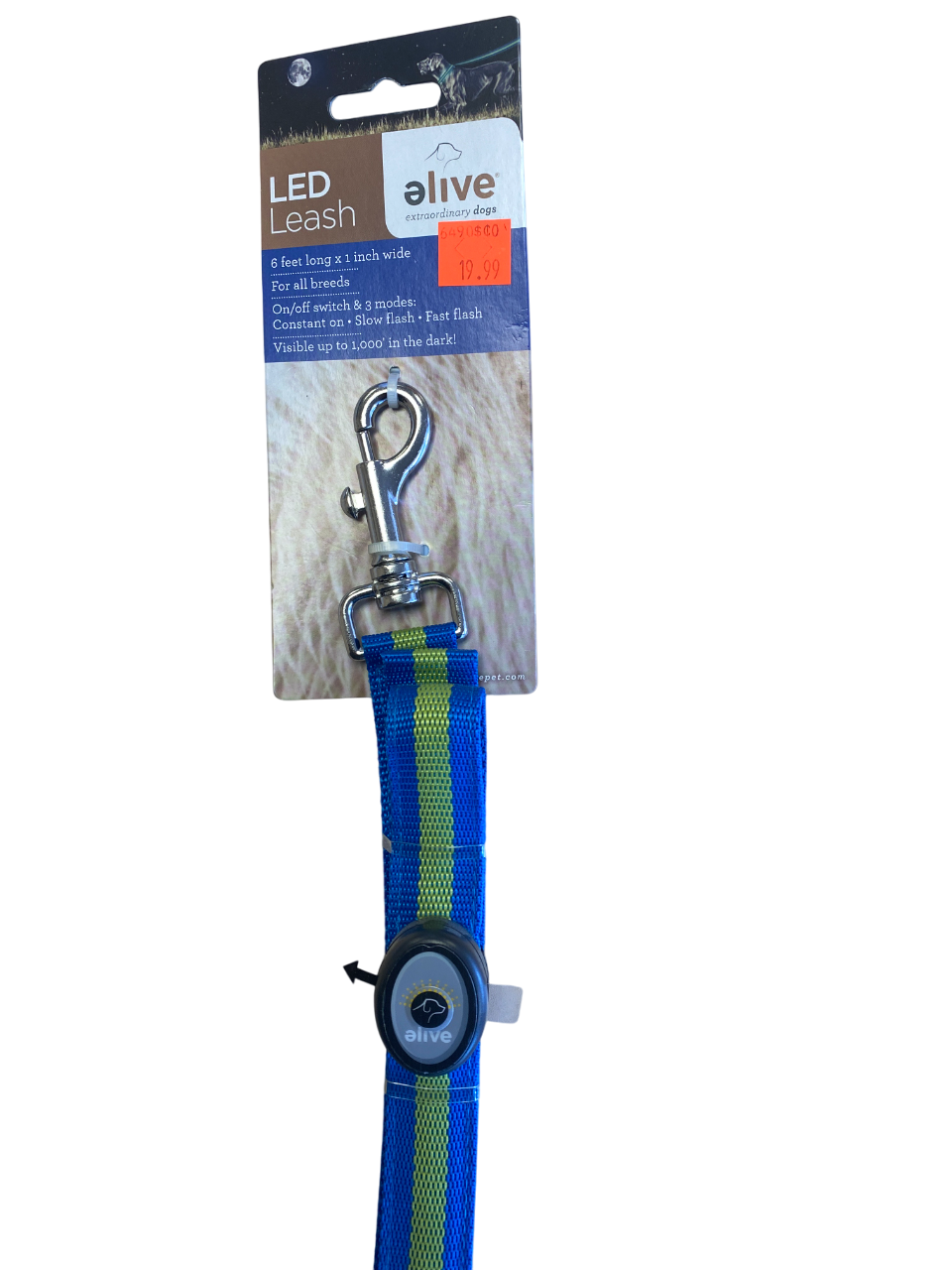 Elive - LED Leash Harmony Pet Supplies Scarborough