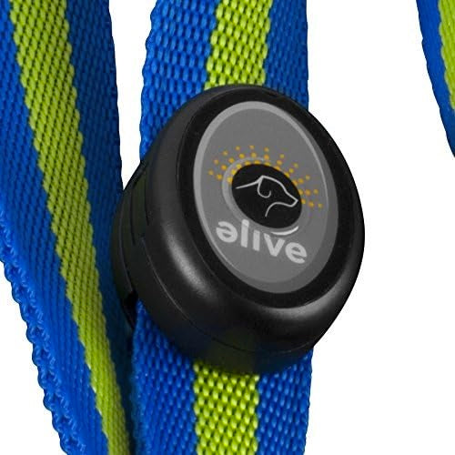 Elive - LED Leash Harmony Pet Supplies Scarborough
