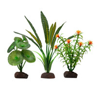 Fluval Aqualife Plant Scapes Elodea 3 Plant Set