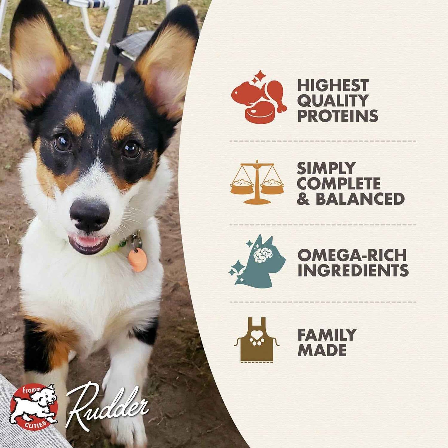 Fromm – Chicken & Salmon Pâté Wet Puppy Food