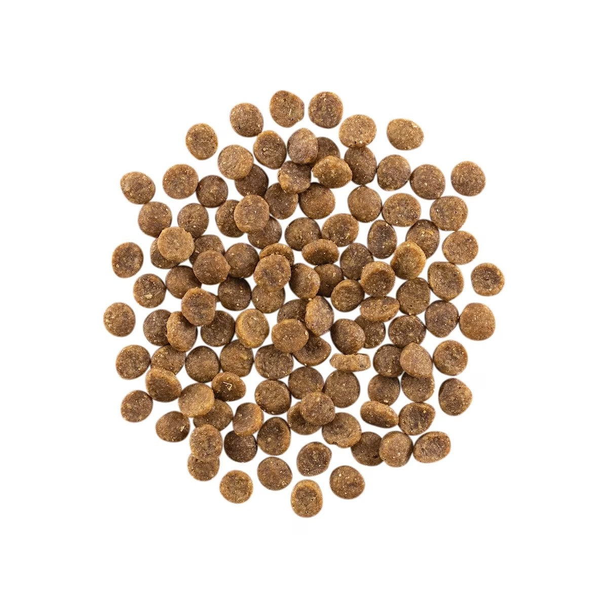 Go! Solutions Carnivore Salmon + Cod – High-Protein Marine Feast Harmony Pet Supplies Scarborough