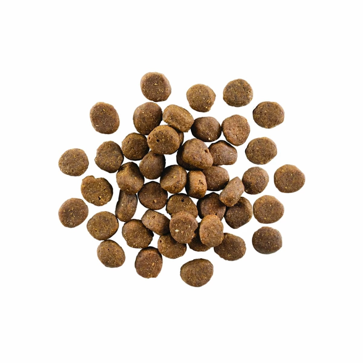 Go Carnivore - Grain Free Lamb & Boar Recipe - Dog Food Harmony Pet Supplies Scarborough