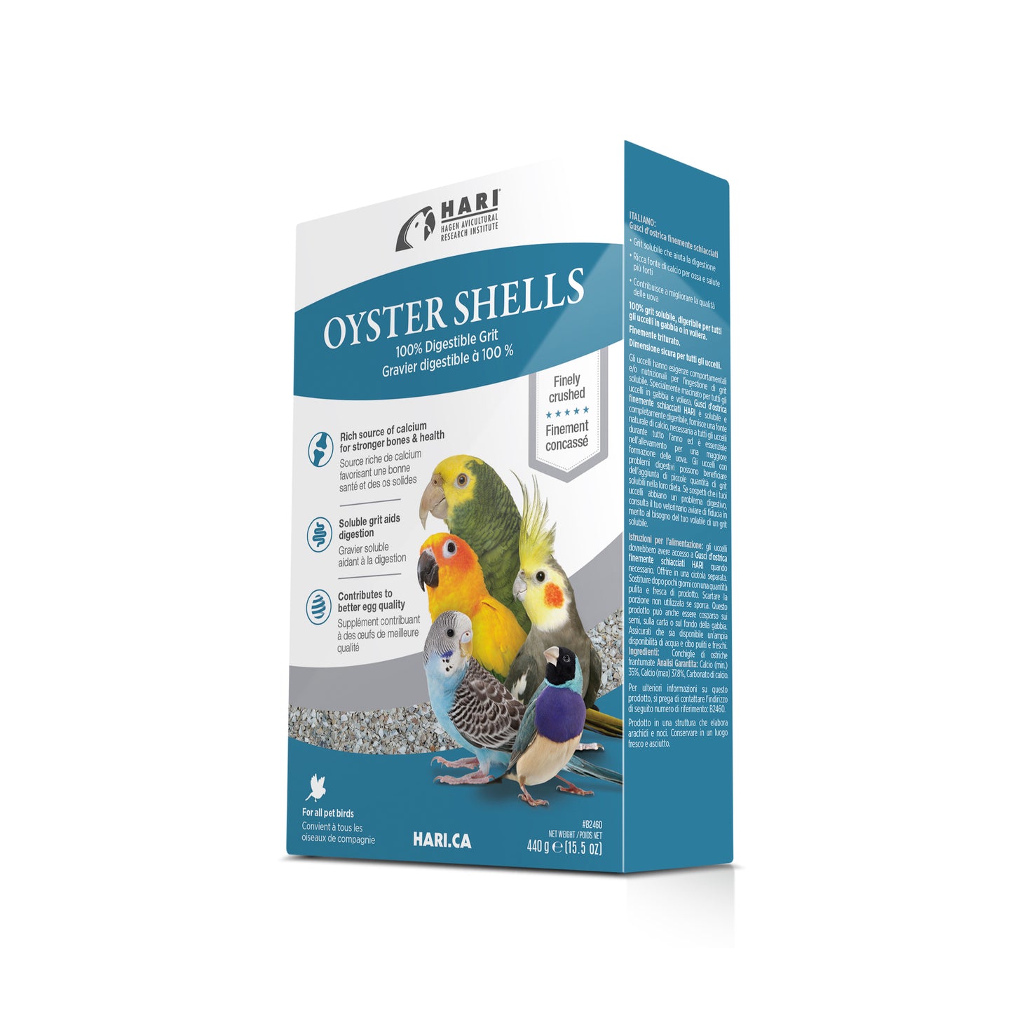 HARI Oyster Shells