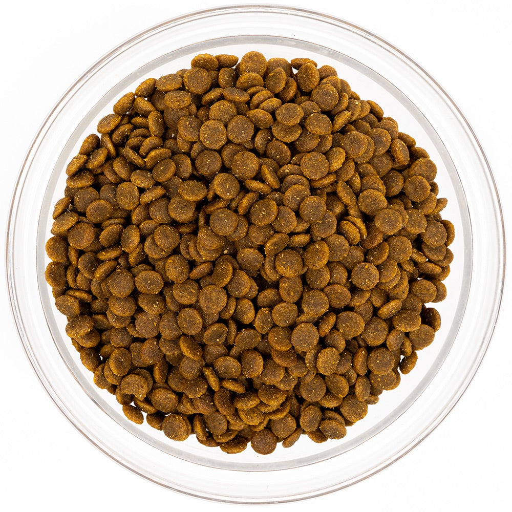Clear bowl filled with brown dog food on a white background
