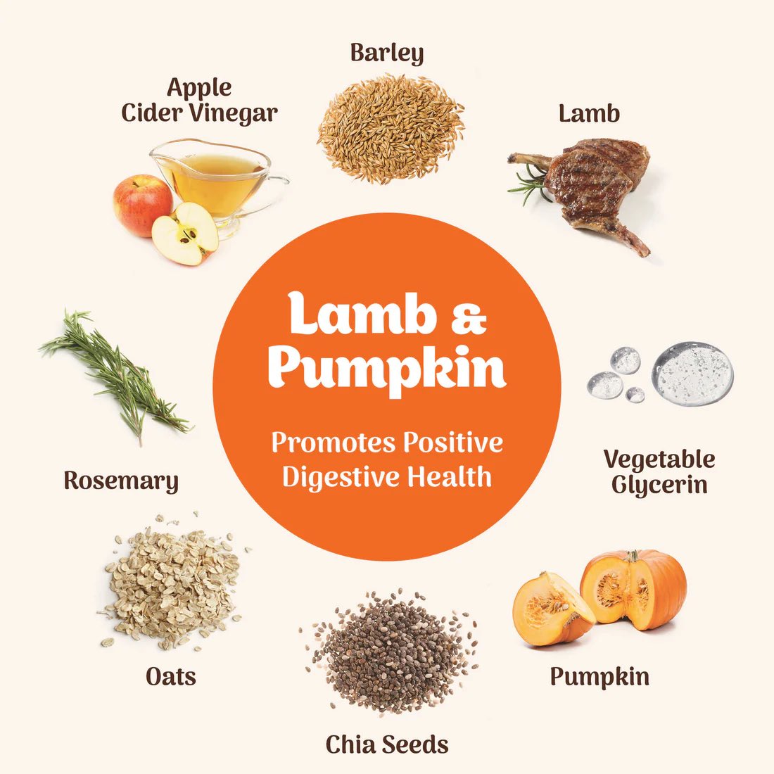 Northern Pet Lamb Pumpkin Soft Dog Treats Details