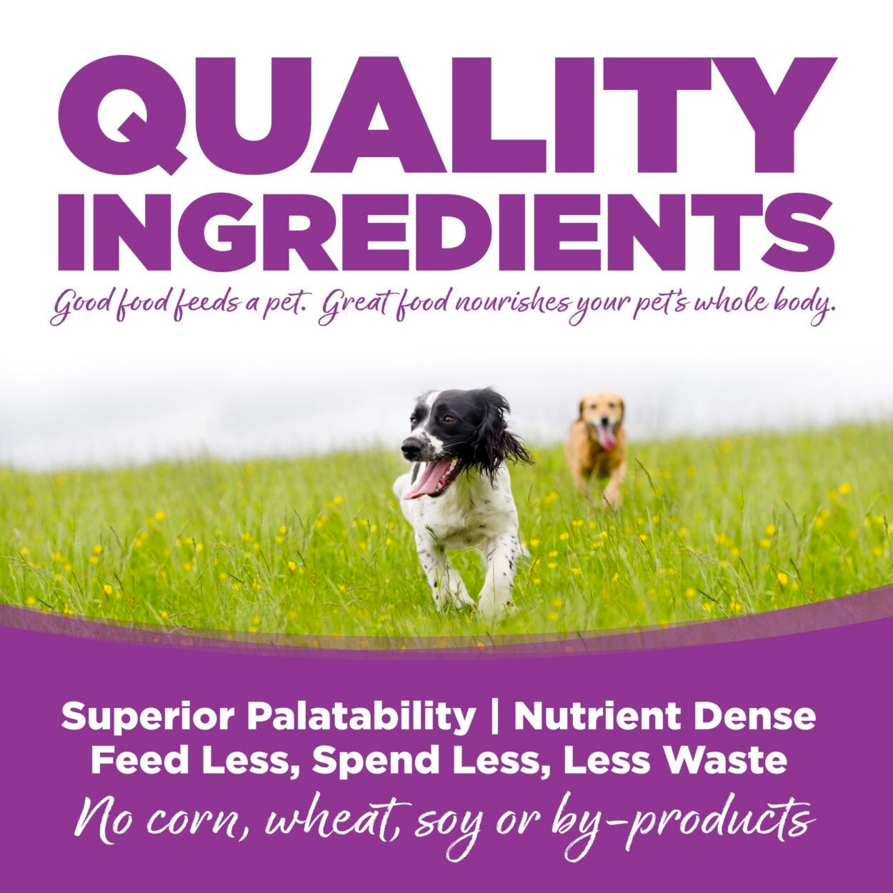 NutriSource Puppy chicken wet food - details two