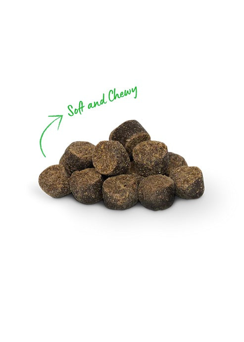 Open Farm - Be Good bites Turkey - Dog Treats Harmony Pet Supplies Scarborough
