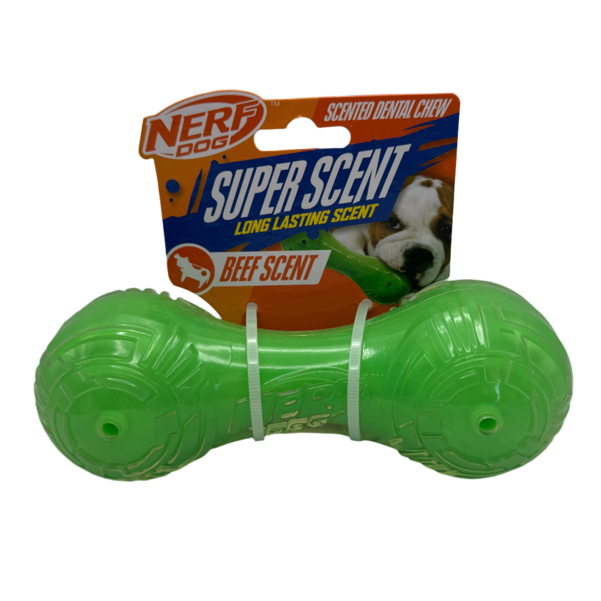 Beef-Scented Barbell Dog Toy – Durable 7" Chew & Fetch Toy Harmony Pet Supplies Scarborough