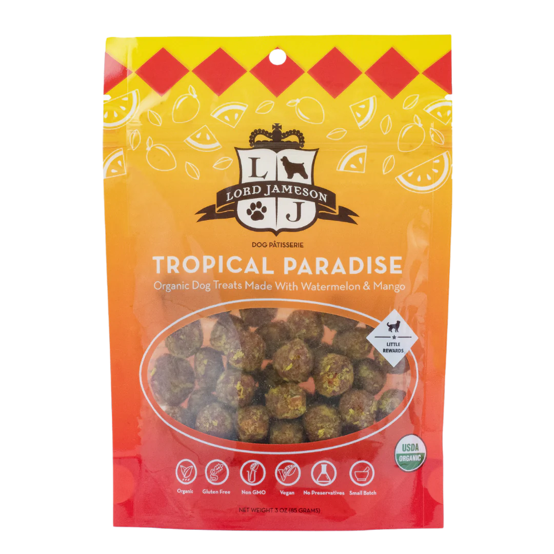 Lord Jameson - Tropical Paradise Harmony Pet Supplies Scarborough