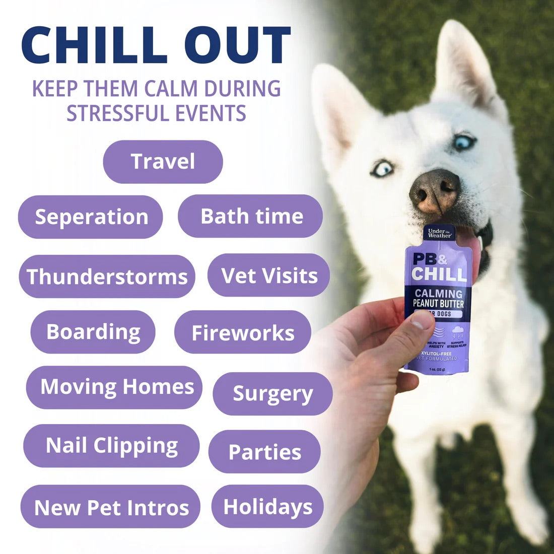 Under The Weather - PB & Chill Calming Peanut Butter - Dog Harmony Pet Supplies Scarborough