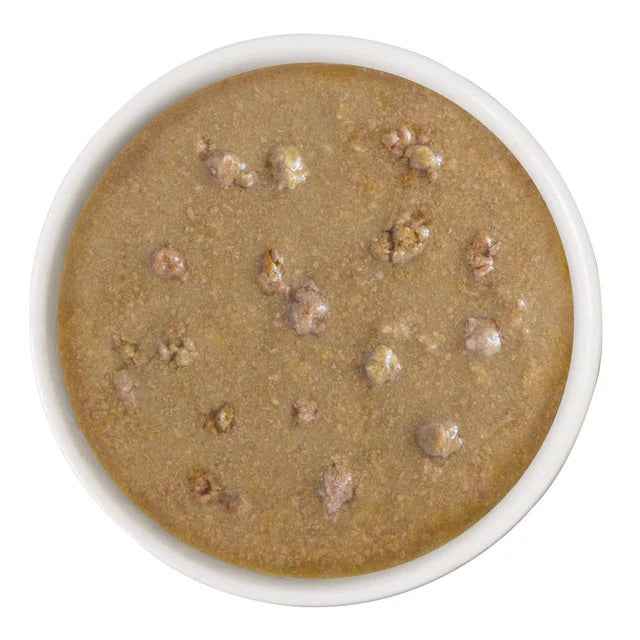 Weruva - Chicken and Salmon Shine Bright - Cat Food in a bowl at Harmony Pet Supplies, Scarborough