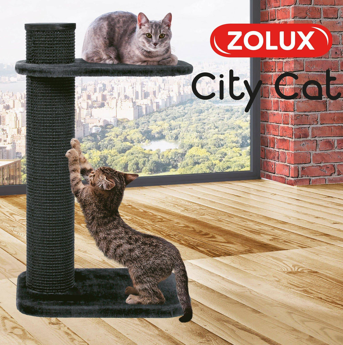 Zolux - City Cat - Scratching Post with Platform Harmony Pet Supplies Scarborough