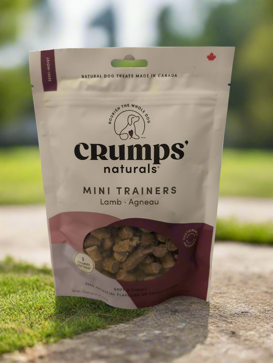 Crumps - Mini Trainers lamb Harmony Pet Supplies Scarborough