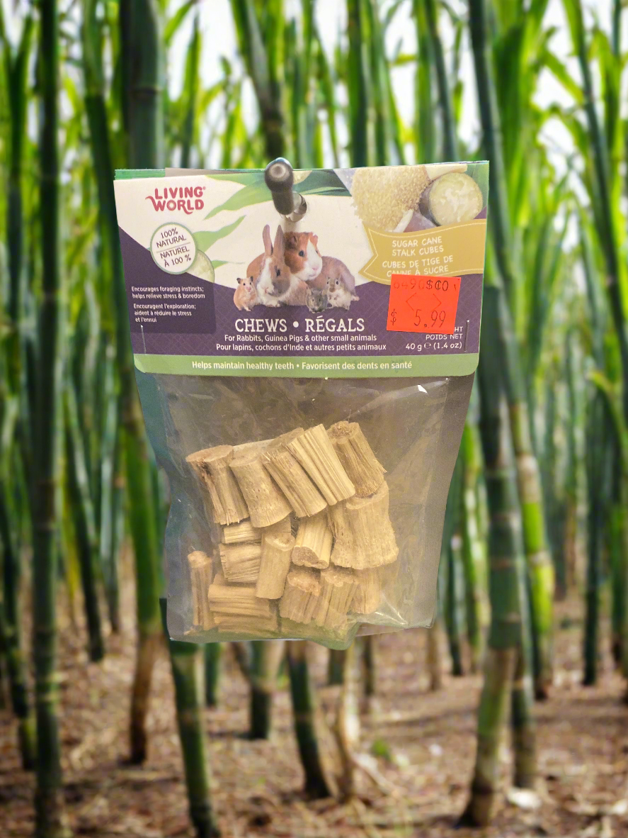 Living World - Sugar Cane Chews Harmony Pet Supplies Scarborough