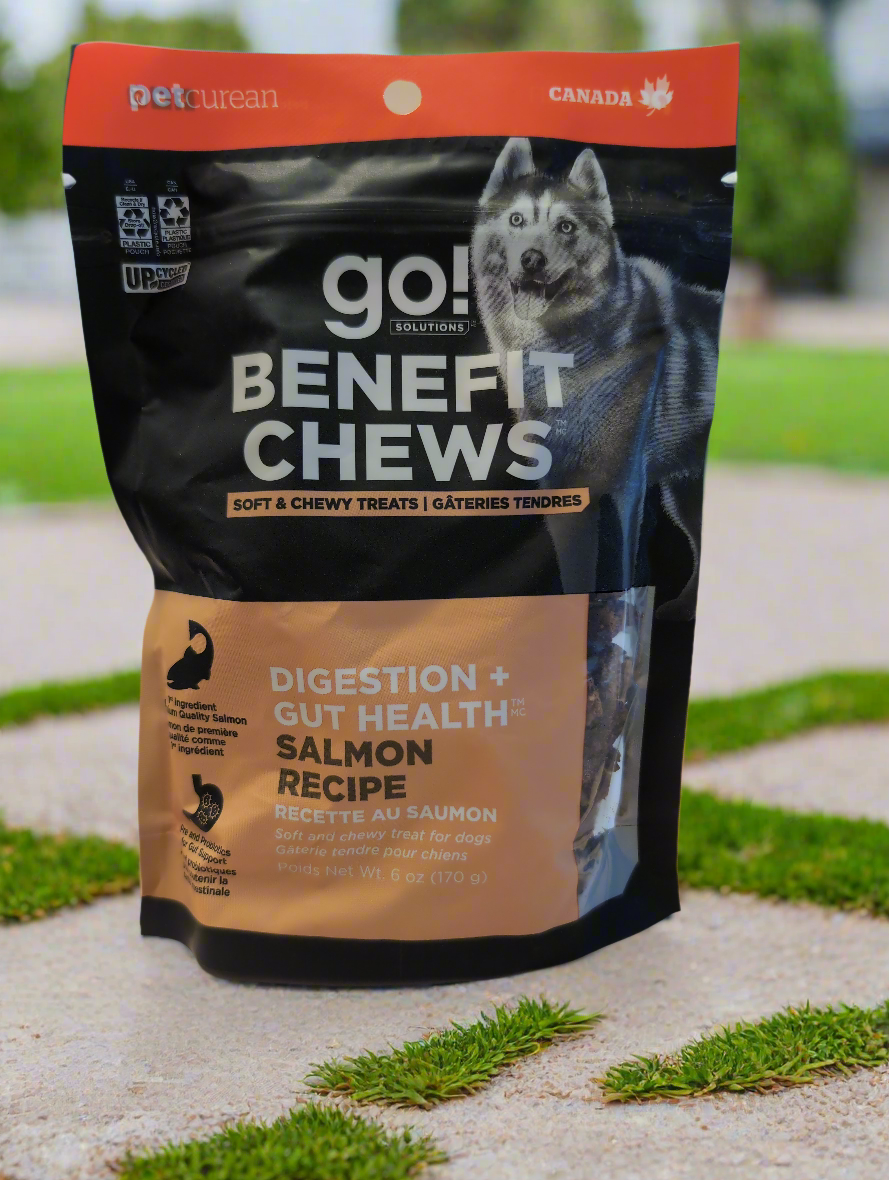 Go Benefit Chews -Digestion + Gut Health Salmon Recipe - Dog Treats Harmony Pet Supplies Scarborough