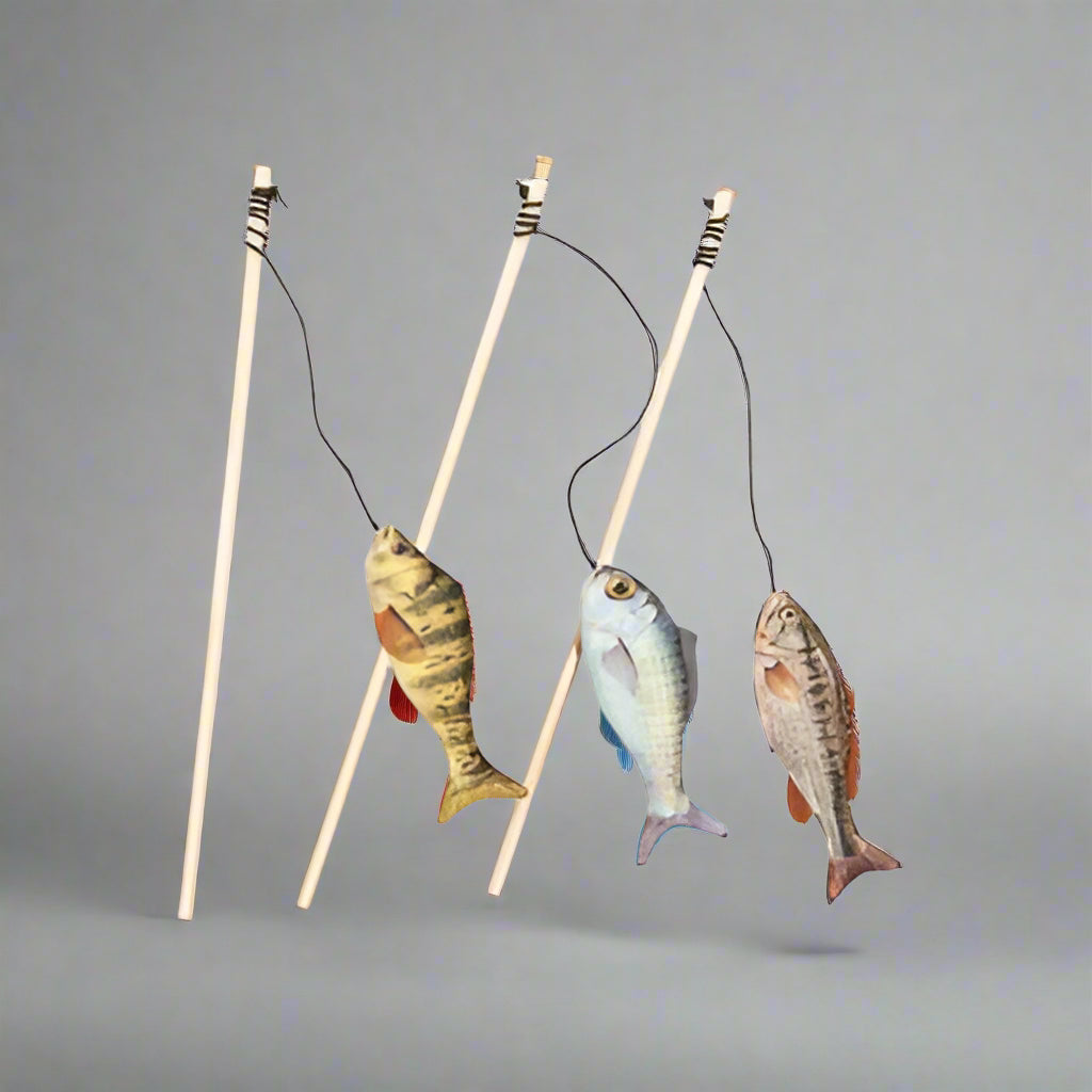 Spot - Gone Fishing Wand Harmony Pet Supplies Scarborough