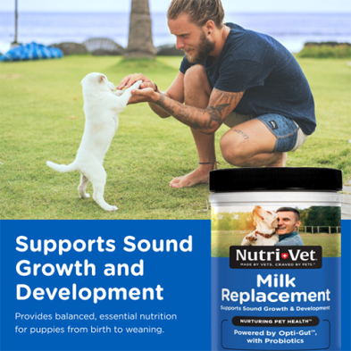 Nutri-Vet® Milk Replacement for Puppies