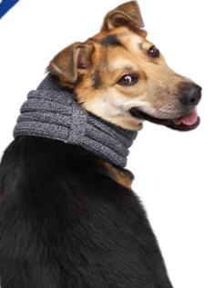 Canada Pooch® Sierra Scarf Grey Mix