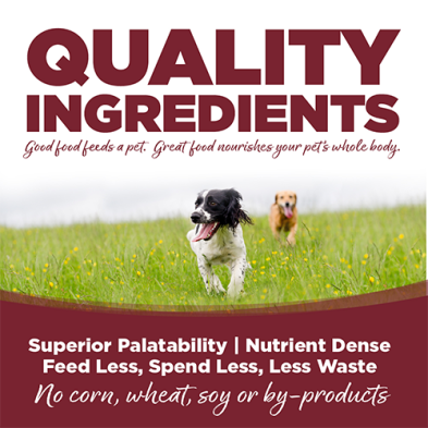 NutriSource® Beef & Rice Recipe Wet Dog Food