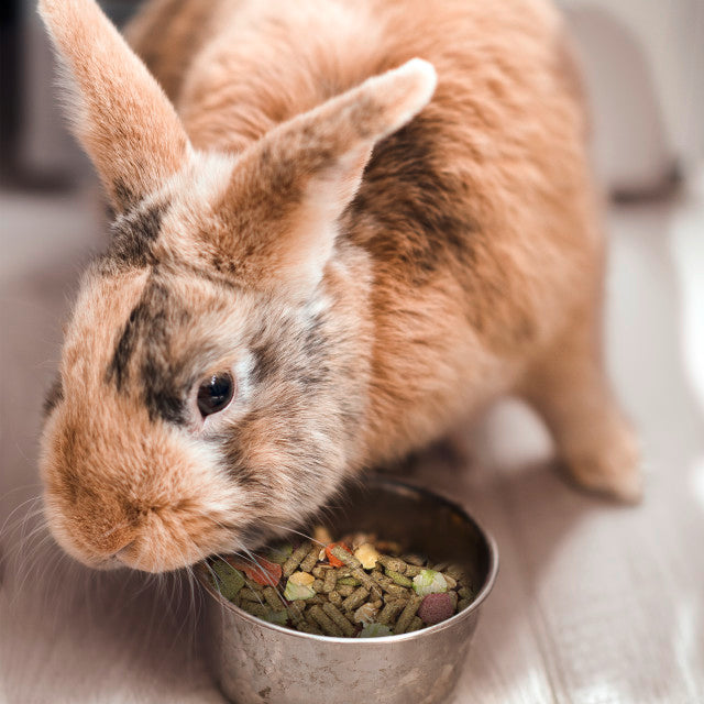 Vitakraft Menu Rabbit Food
