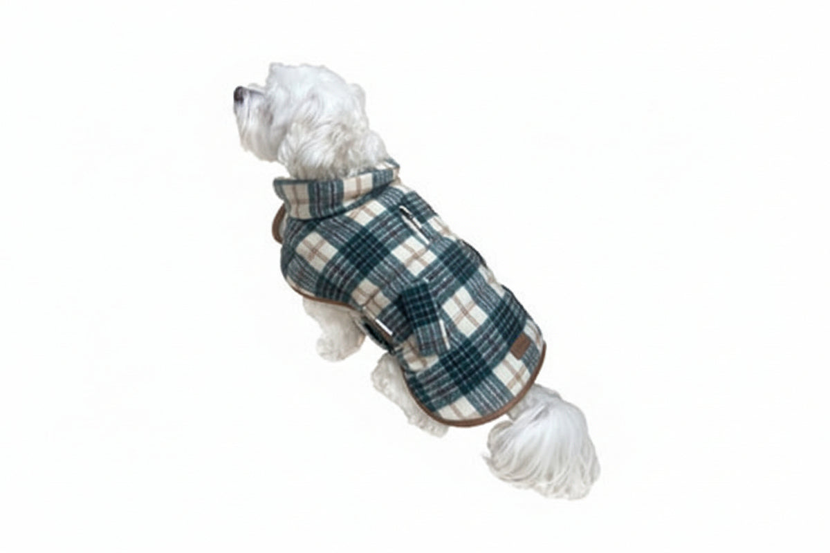 Dog wearing a foufoudog brand plaid coat on a white background at Harmony Pet Supplies Scarborough