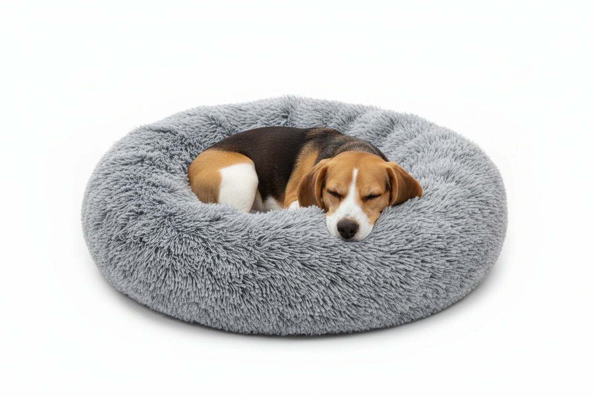 Dog resting on a fluffy gray luxurfurz pet bed against a white background at Harmony Pet Supplies scarborough