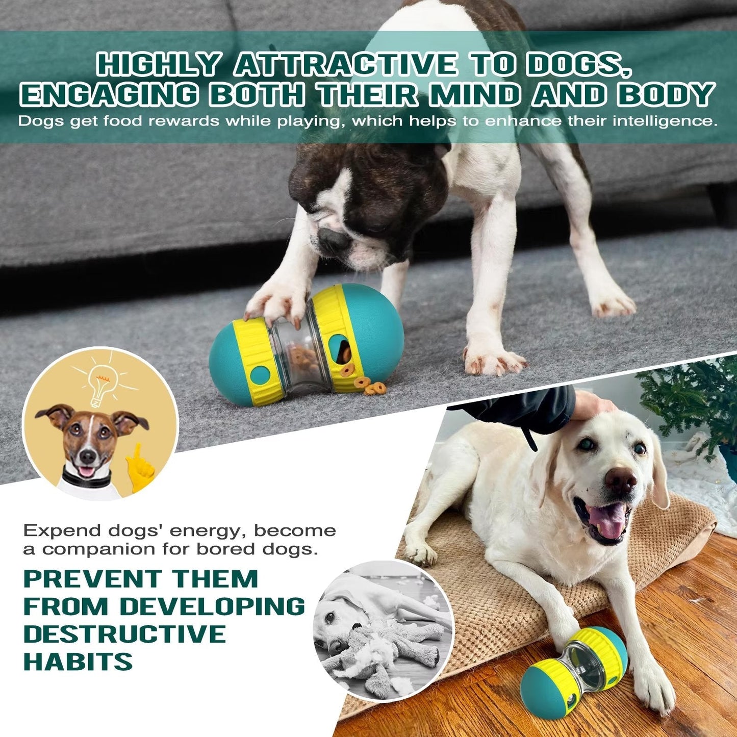 Interactive Slow Feeder Oval Toy – Dog Food Dispenser Harmony Pet Supplies Scarborough