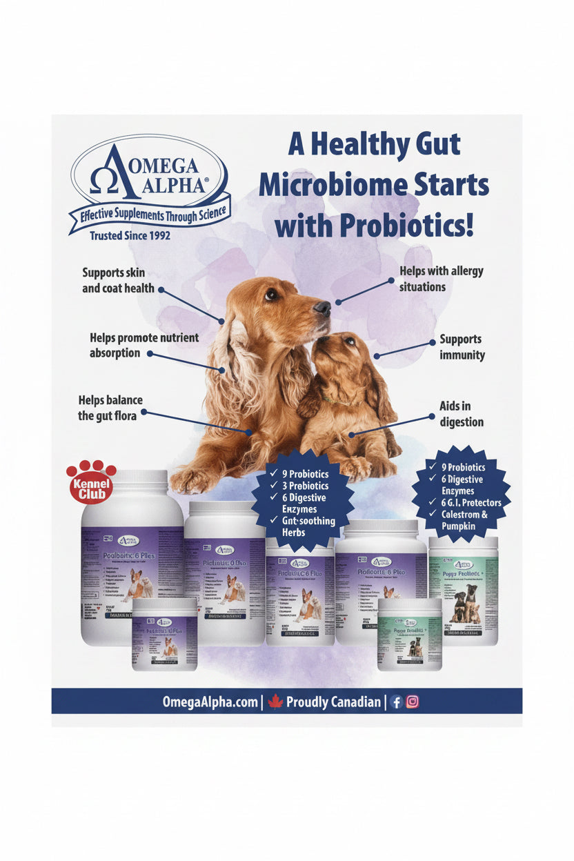 Information for Omega Alpha pet supplement products with text about a healthy gut microbiome. Available at Harmony Pet Supplies Scarborough 