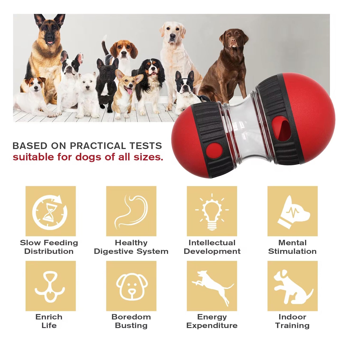 Interactive Slow Feeder Oval Toy – Dog Food Dispenser Harmony Pet Supplies Scarborough