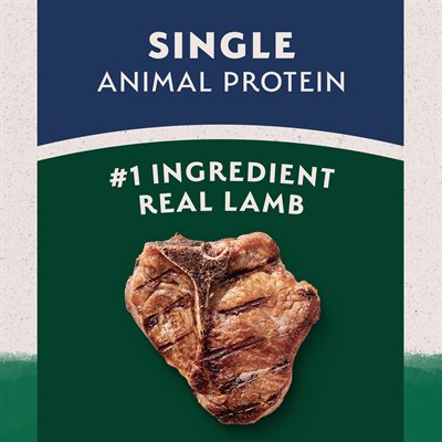Natural Balance Limited Ingredient Lamb & Brown Rice Recipe Dry Dog Food