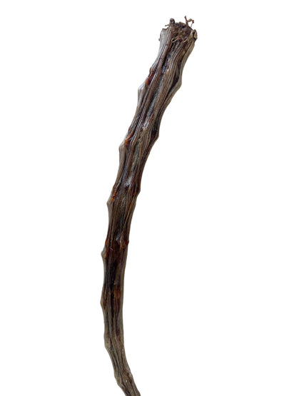 Harmony Special - Dehydrated Dog Treats - Kangaroo Tail