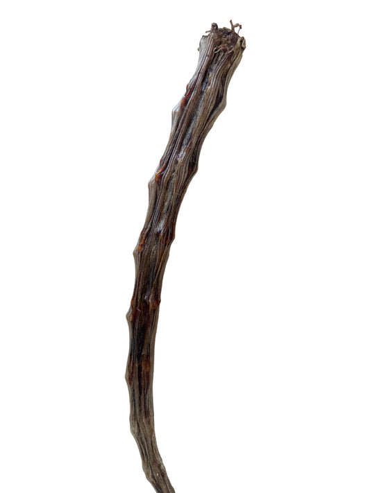 Harmony Special - Dehydrated Dog Treats - Kangaroo Tail