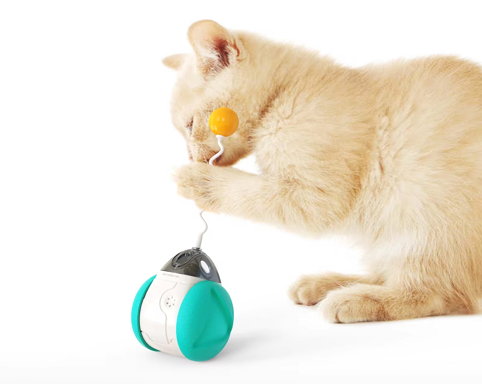 Interactive Squeaky Balance Toy – Fun for Dogs & Cats Harmony Pet Supplies Scarborough